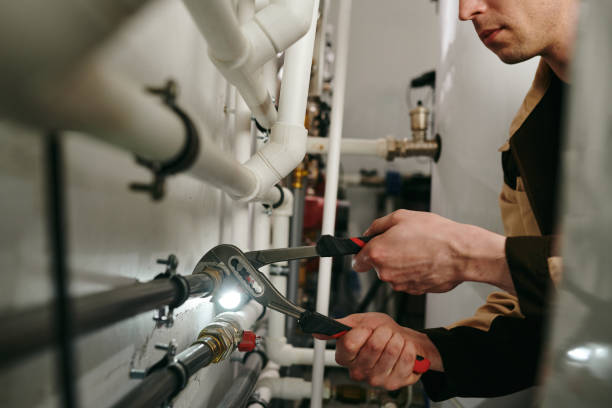 Best Local Plumber Services  in Barrington Hls, IL