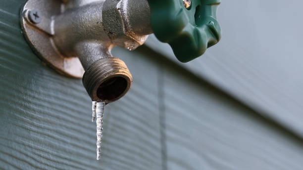 Best Shower Repair Services  in Barrington Hls, IL